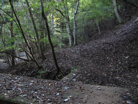 20151014hike (68)